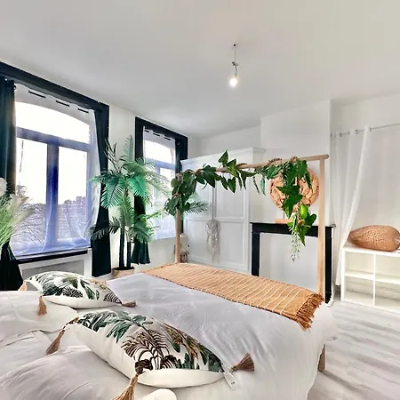 Haussmaniennne 5 Avec Jardin - * Tourcoing